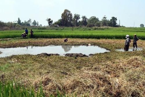 Phát hiện thi thể bé trai 10 tuổi ở ao ruộng