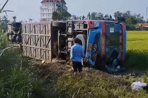 Vụ ô tô khách chở 44 người lao xuống ruộng: Tài xế xe máy vi phạm nồng độ cồn