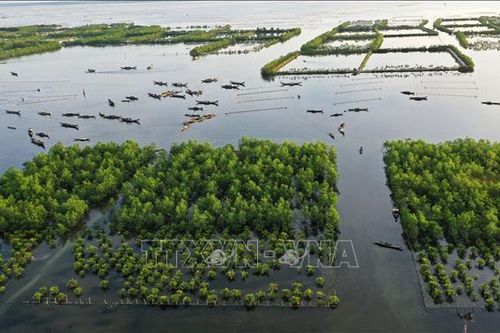 Phát triển hệ đầm phá Tam Giang - Cầu Hai trở thành 'Công viên đầm phá Quốc gia'