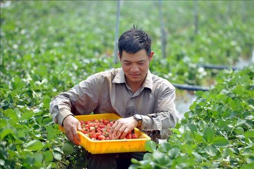 Truyền cảm hứng cho nhiều thanh niên phát triển kinh tế