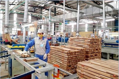Kiến nghị sửa đổi tổng thể chính sách thuế