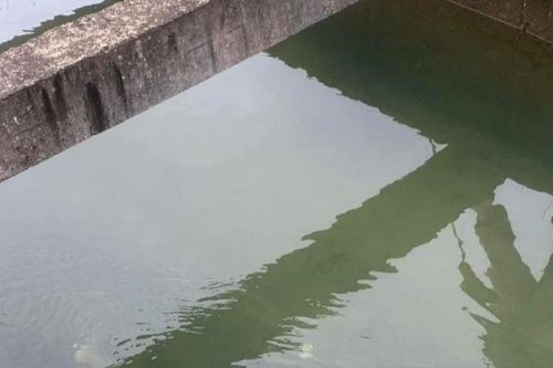 Chàng trai 19 tuổi rời nhà rồi 'mất tích', 2 ngày sau thi thể được tìm thấy ở nơi không thể ngờ