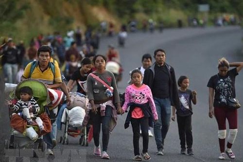 Mexico giải cứu hơn 34.000 trẻ di cư bất hợp pháp