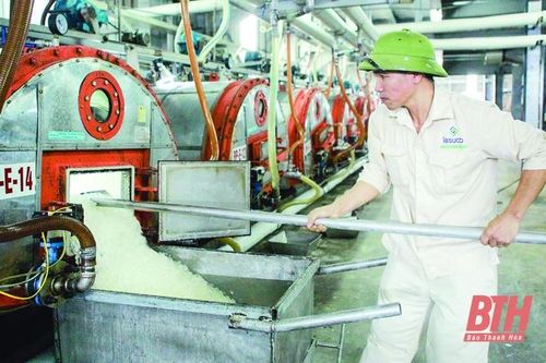 Nông sản Thanh Hóa xuất khẩu sang 30 quốc gia và vùng lãnh thổ