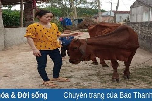 Nghị lực vươn lên thoát nghèo của khách hàng vay vốn TCVM