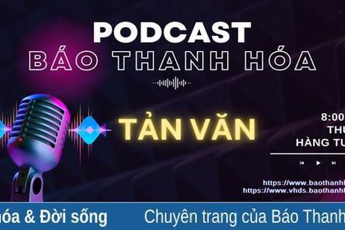 Tản văn: Đêm nay hoa bưởi dậy thì