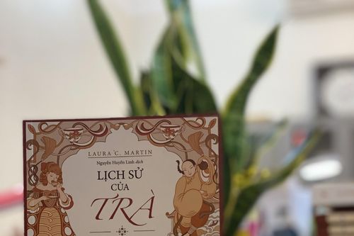 Lịch sử của Trà: Đọc để thưởng Trà tinh tế hơn