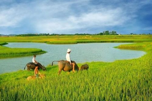 Thèm quá một vốc nước đồng