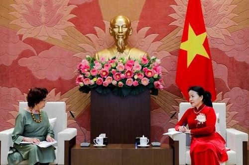 Phó Chủ nhiệm Ủy ban Xã hội Nguyễn Thị Kim Thúy tiếp Đại sứ, Thứ trưởng Ngoại giao Mexico