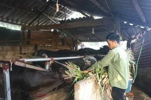 Trăm 'kế' giúp đồng bào dân tộc thiểu số ở Đồng Hỷ thoát nghèo