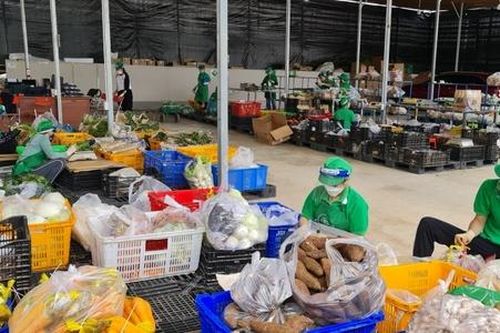 HTX có thu nhập cao nhờ ứng dụng công nghệ cao
