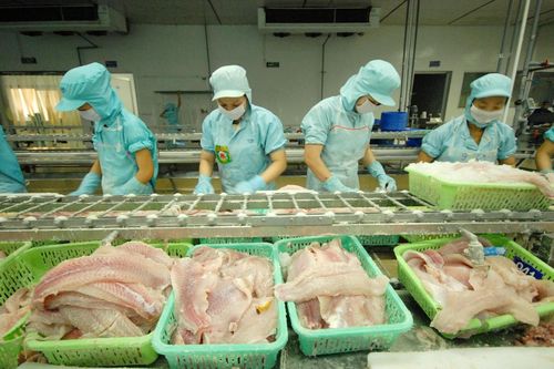 IDI dự kiến bầu Phó chủ tịch HĐQT mới tại ĐHĐCĐ 2023
