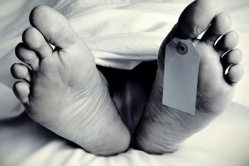 Công an phối hợp giải quyết 2 vụ người nước ngoài tử vong tại Hải Phòng
