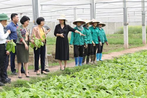 Gỡ vướng chính sách phát triển nông nghiệp, nông thôn