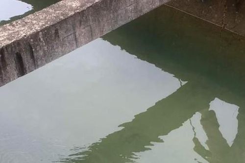 Phát hiện thi thể nam thanh niên dưới mương nước sau 2 ngày rời khỏi nhà