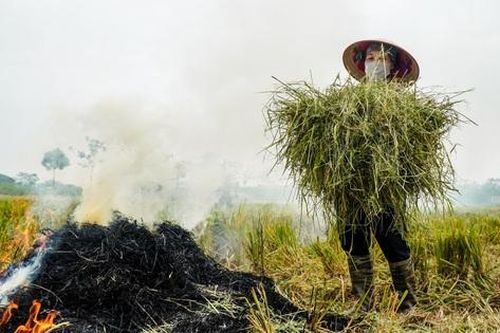 Những hệ lụy nghiêm trọng từ khói đốt rơm ra: Xử lý thế nào?