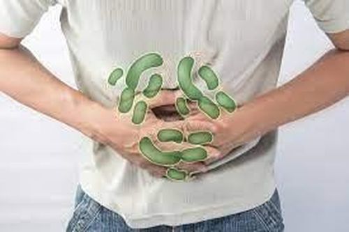 Đề phòng nguy cơ nhiễm khuẩn Salmonella