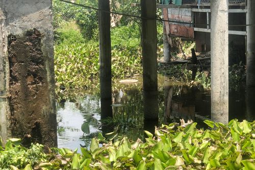 Kéo điện chích cá, người đàn ông bị điện giật tử vong