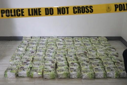 Philippines bắt giữ 500 kg ma túy giấu trong túi trà