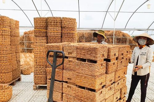 'Thuận thiên' tạo sinh kế cho người dân miền Tây - Bài 3: Liên kết tạo mô hình phát triển bền vững