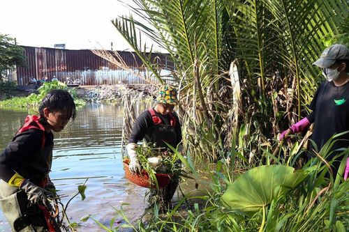 Sức trẻ vì môi trường xanh