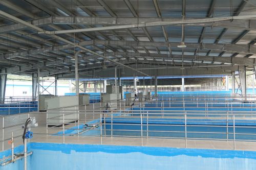 Khánh thành Nhà máy nước vốn đầu tư gần 1.200 tỷ đồng ở Đà Nẵng