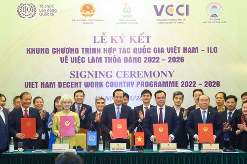 Hướng tới việc làm bền vững và thỏa đáng cho tất cả mọi người