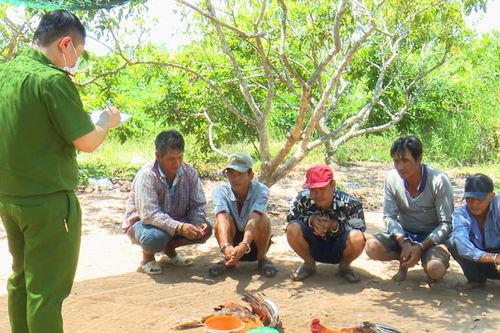 Phục kích bắt 5 đối tượng đá gà ăn tiền tại một khu đất trống