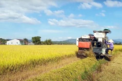 Lâm Đồng đề xuất sáp nhập ba huyện thành một