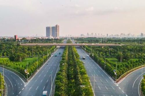 Vụ 'thổi giá cây xanh' Hà Nội: Đường đi của cây trồng nhập lậu từ Trung Quốc