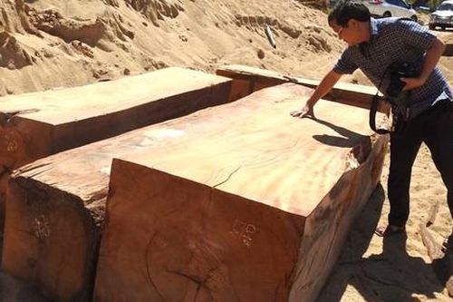 Tin mới vụ gỗ lậu trong bãi chứa cát ở Kon Tum