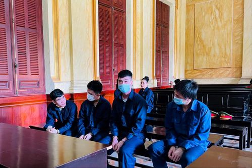 Quản lý cùng nhân viên hầu tòa vì môi giới mại dâm