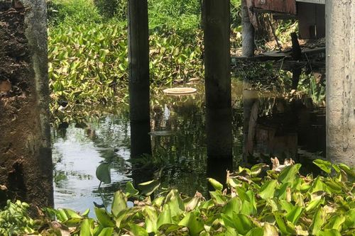 Phát hiện người đàn ông tử vong dưới ao cá sau nhà