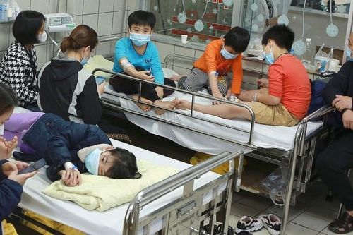 Vụ ngộ độc tập thể sau chuyến dã ngoại: Thêm học sinh được xuất viện