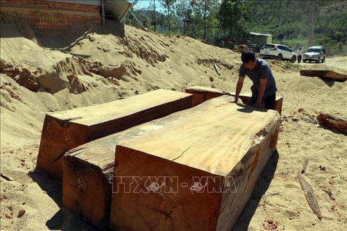 Kiểm điểm tập thể, cá nhân liên quan đến vụ phá rừng ở xã Đăk Pxi, Kon Tum