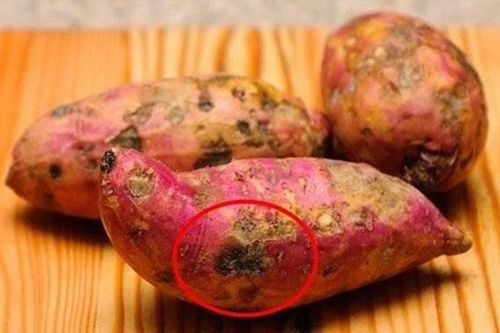 7 thực phẩm hóa kịch độc ẩn nấp trong hàng triệu căn bếp Việt vì lý do này