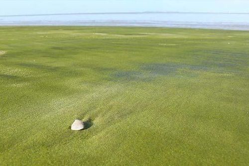 12 bãi biển độc lạ trên thế giới khiến ai cũng phải thốt lên bất ngờ