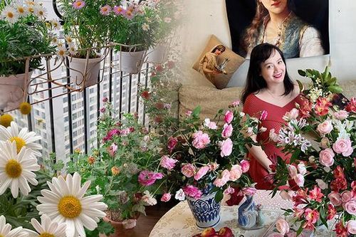 Mẹ chăm góc ban công ngập hoa, chia sẻ kinh nghiệm khi muốn trồng cây hướng Bắc