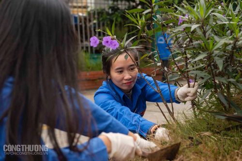 Chi đoàn Tạp chí Công Thương hưởng ứng phong trào xây dựng 'Công sở văn minh, xanh - sạch - đẹp'
