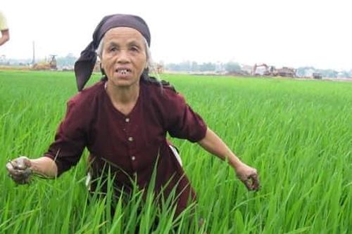 Mượn áo đi họp