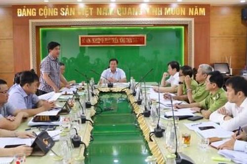 Đắk Lắk: Đề xuất các phương án phát triển và bảo vệ rừng