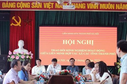 Tiếp tục đề xuất đổi mới và đột phá cho dự thảo luật HTX sửa đổi: Có cần quy định đại hội đại biểu thành viên như vậy? (Kỳ 3)