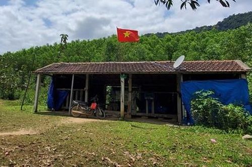 Vụ 'xẻ thịt' rừng phòng hộ huyện Vân Canh: Sẽ xử lý hình sự