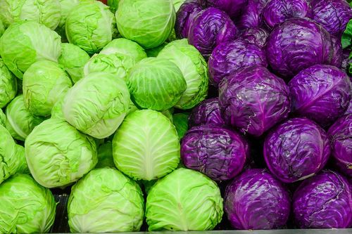 Vì sao bắp cải được coi là 'kho thuốc' của người nghèo?