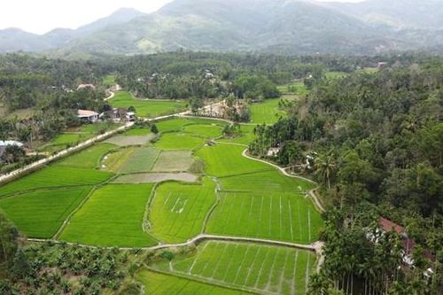 Đặc sắc làng cổ Lộc Yên