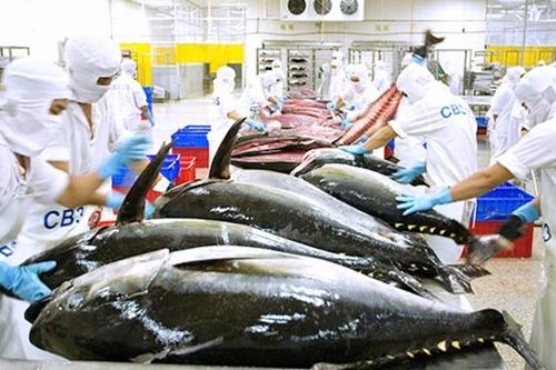Kinh tế Việt Nam và ASEAN vẫn đối diện nhiều nguy cơ