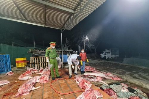 Phát hiện cơ sở giết mổ hơn 1 tấn lợn đã chết ở Bắc Giang