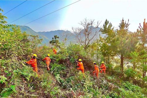 Lai Châu đảm bảo an toàn lưới điện trước mùa mưa bão