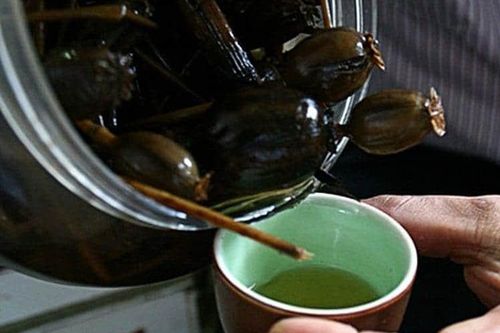 Một tài xế bị xử lý vì uống rượu ngâm quả thuốc phiện