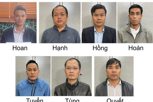 15 đối tượng ở Lai Châu bị bắt do liên quan việc 'ăn' cây rừng